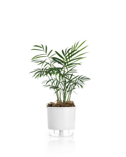 VASO AUTOIRRIGAVEL PEQUENO BRANCO 12,6 cm x 11,4 cm N02 - VASOS RAIZ