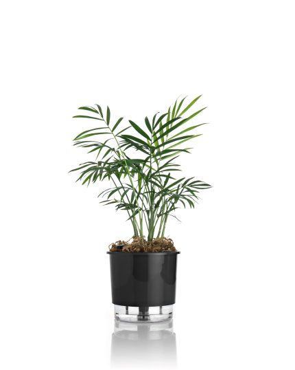 VASO AUTOIRRIGAVEL PEQUENO PRETO 12,6 cm x 11,4 cm N02 - VASOS RAIZ